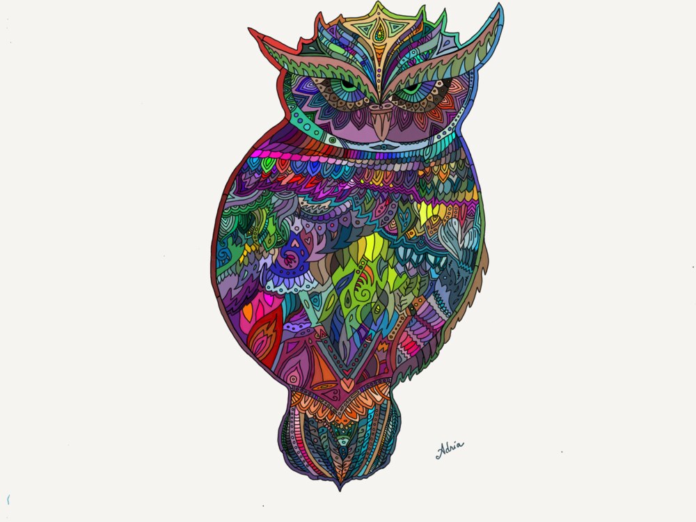 Owl illustration